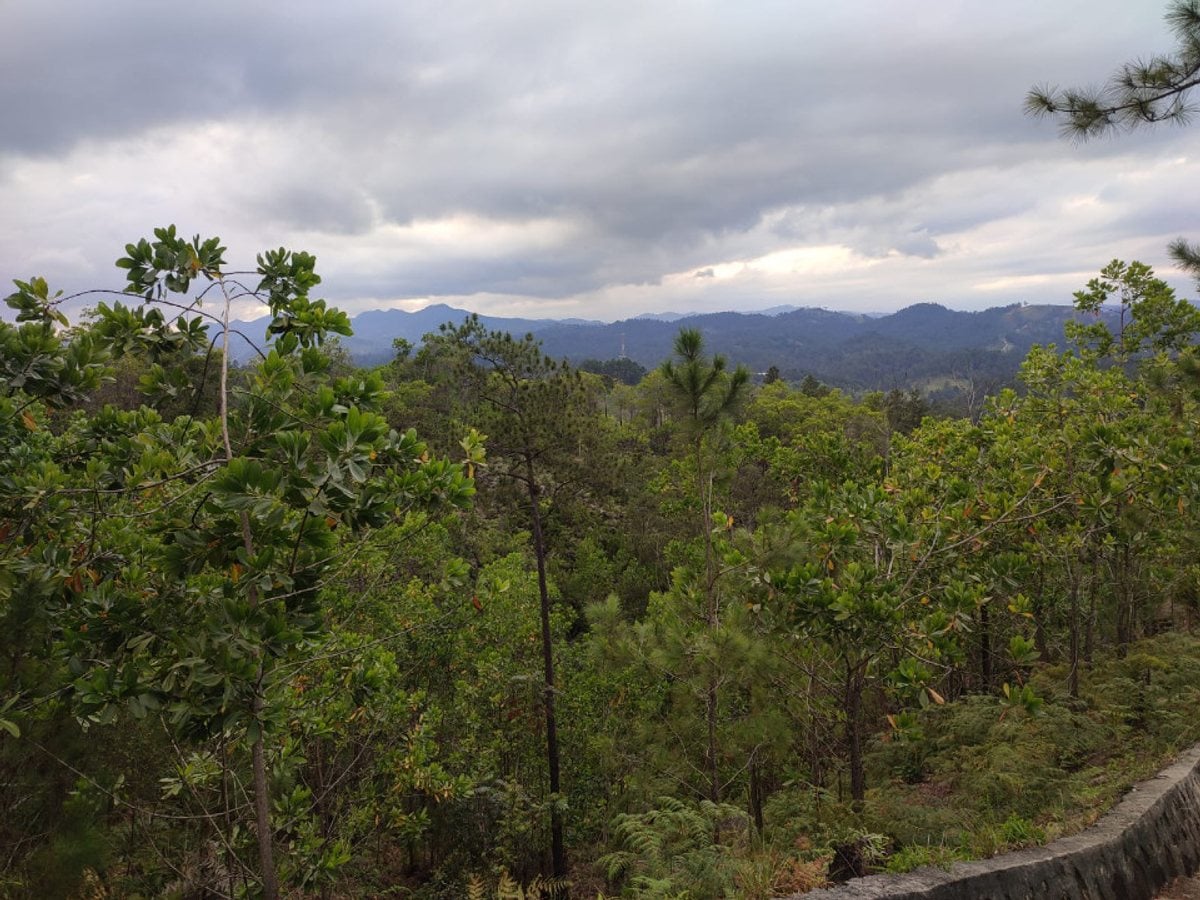EN VENTA EN CONSTANZA – foto 5