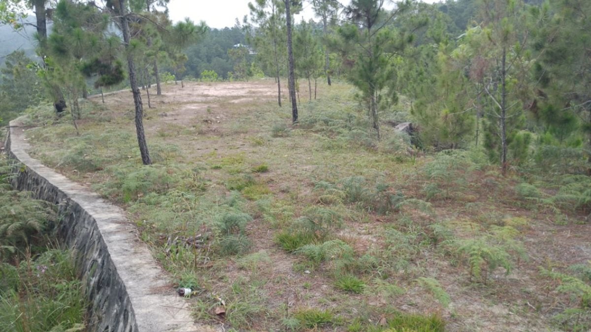 EN VENTA EN CONSTANZA – foto 2