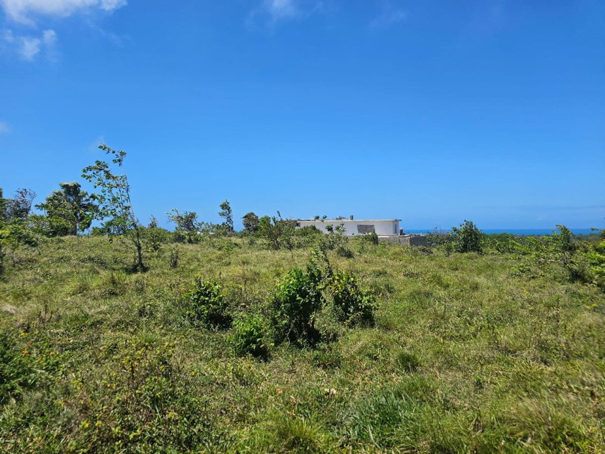 Terreno en CABARETE SOSÚA – foto 8
