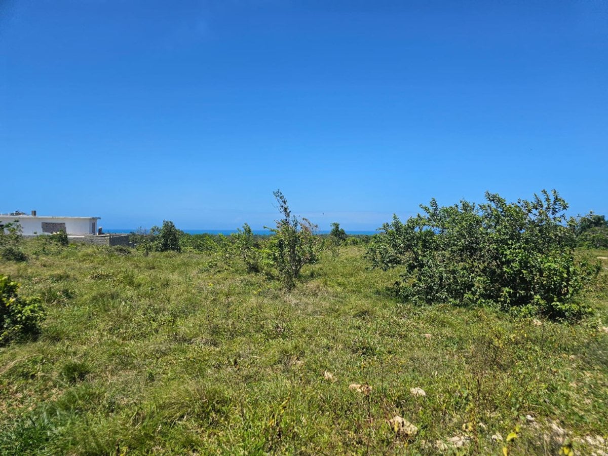 Terreno en CABARETE SOSÚA – foto 4