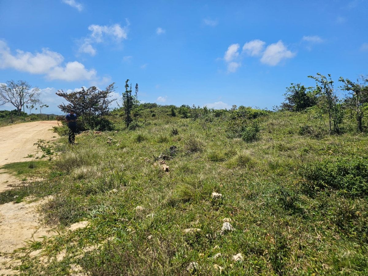 Terreno en CABARETE SOSÚA – foto 5