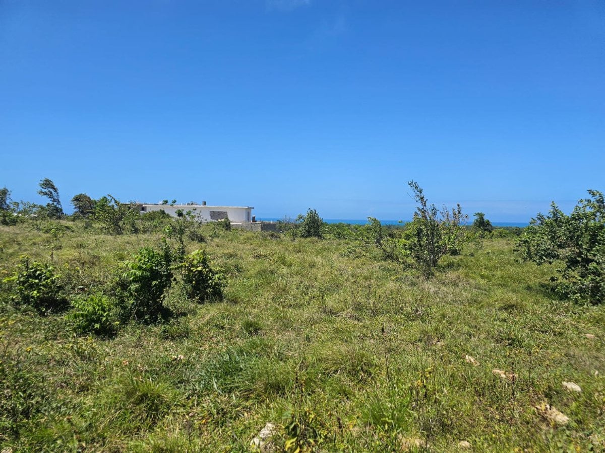 Terreno en CABARETE SOSÚA – foto 2