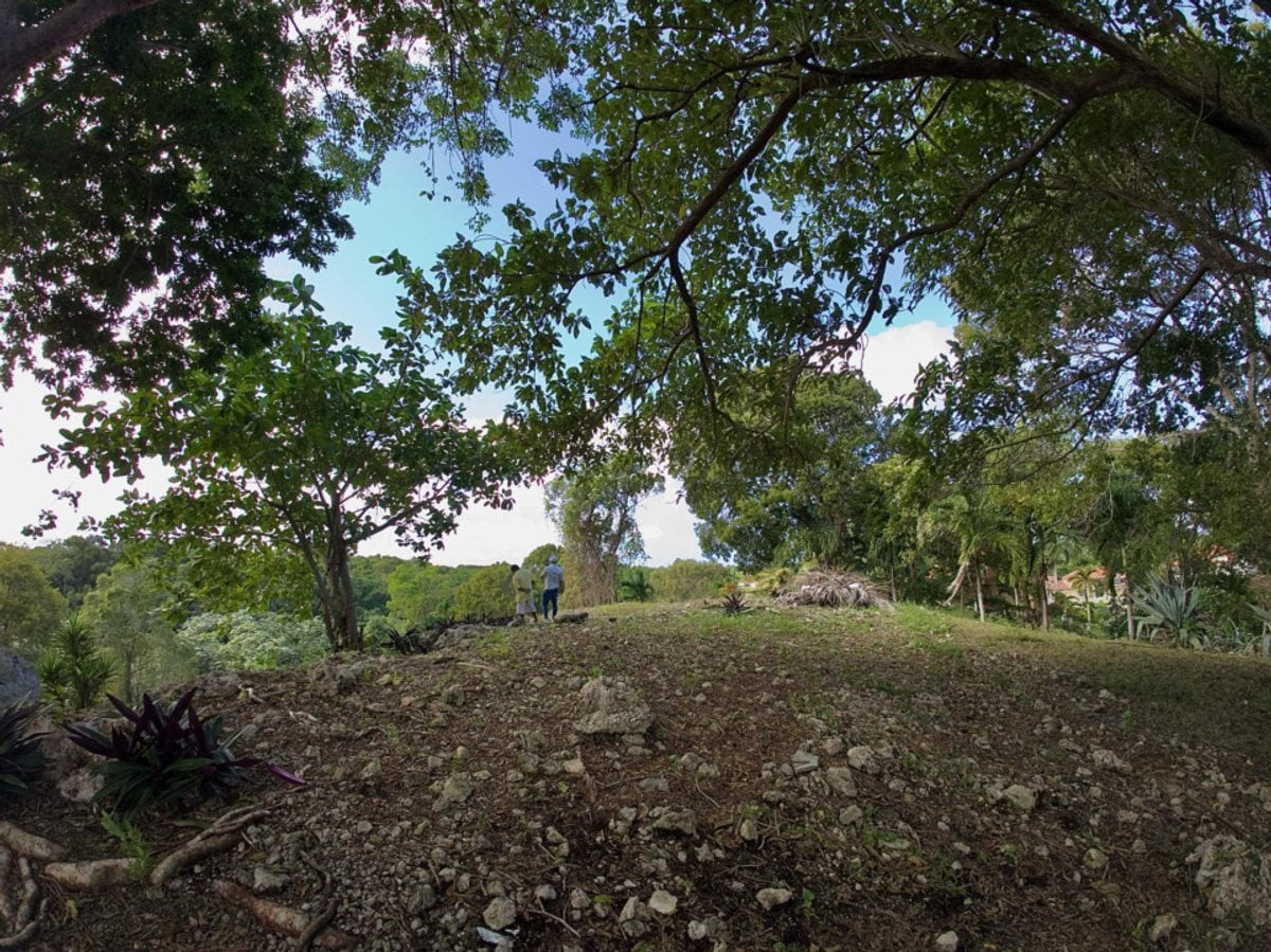 Terreno en venta en Sosúa, La Mulata – foto 3