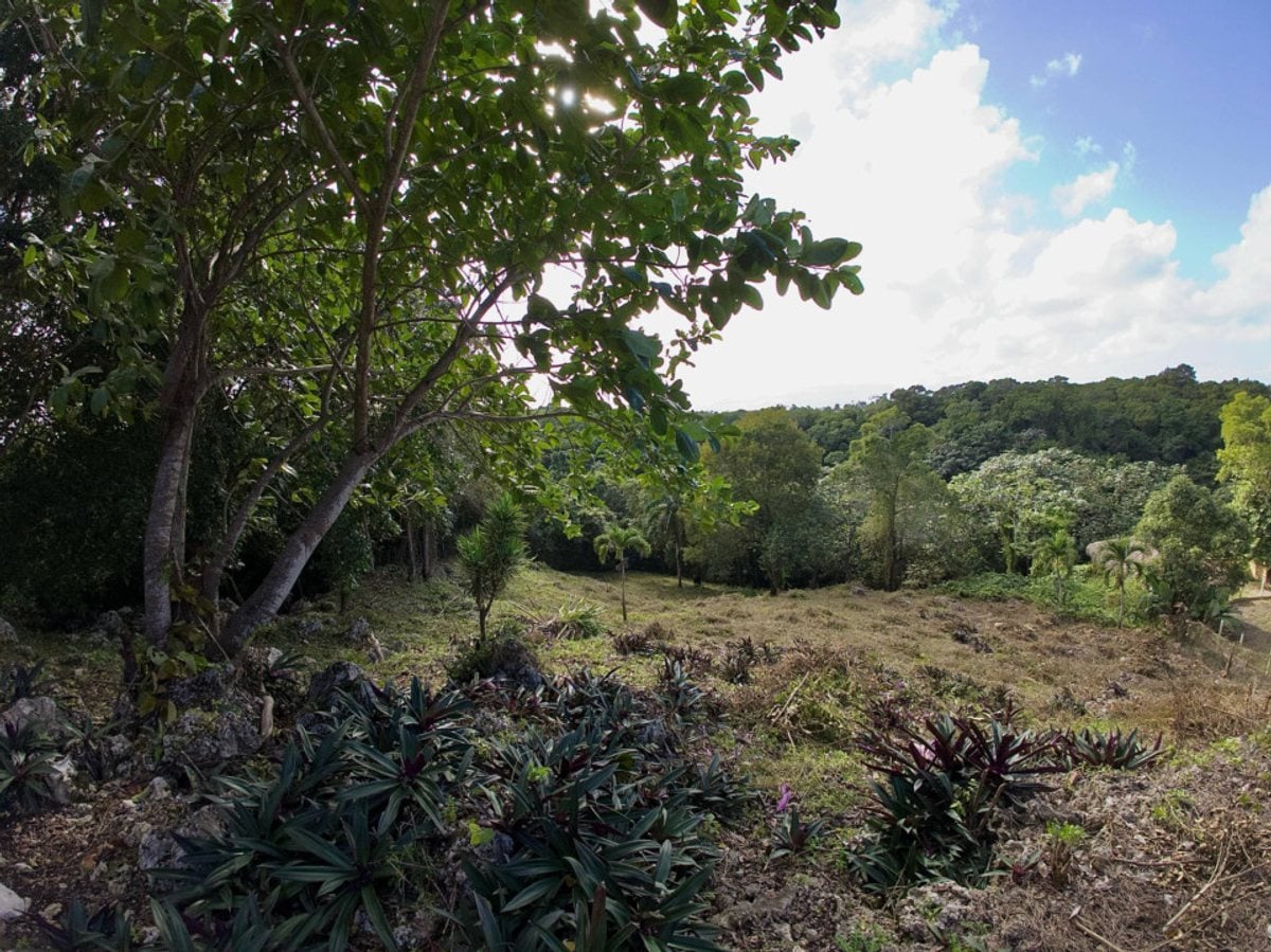 Terreno en venta en Sosúa, La Mulata – foto 6