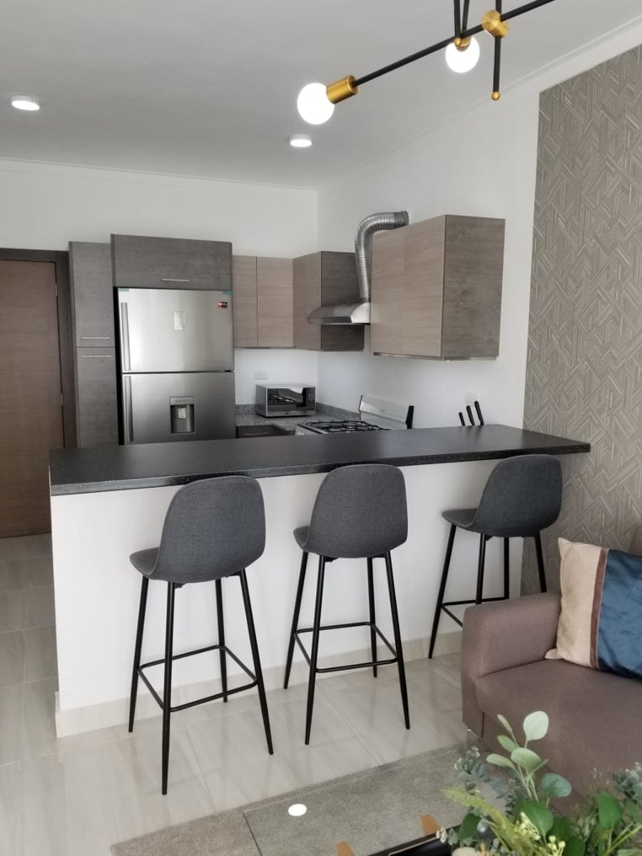 Apartamento Amueblado de 1 habitacion en Evaristo Morales – foto 2