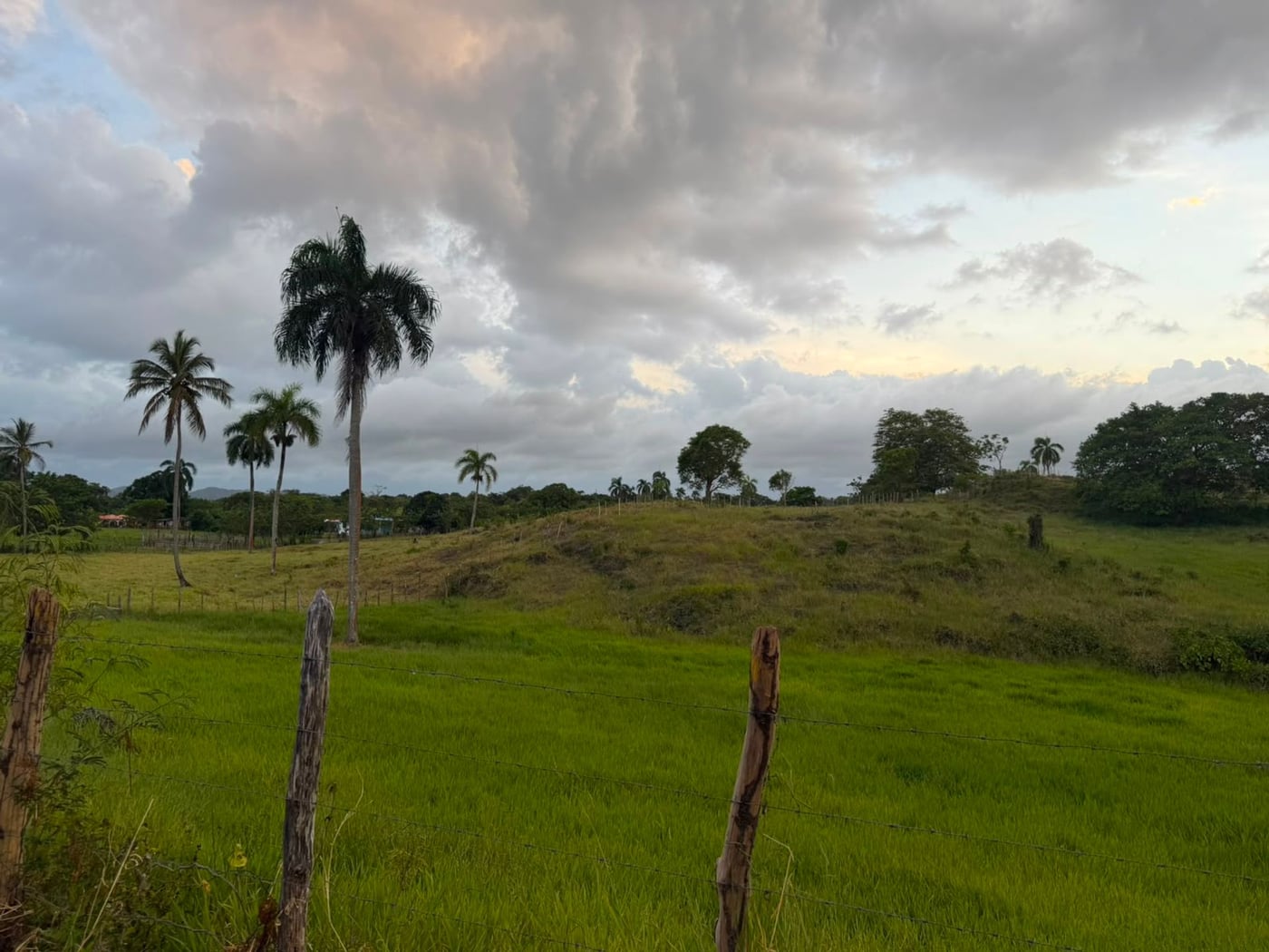 SOLAR DE VENTA EN SAMANA-PALMARITO – foto 3