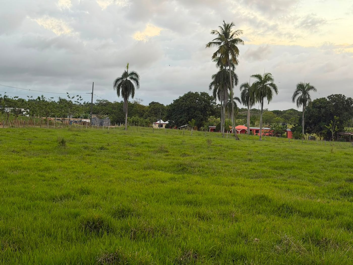 SOLAR DE VENTA EN SAMANA-PALMARITO – foto 1