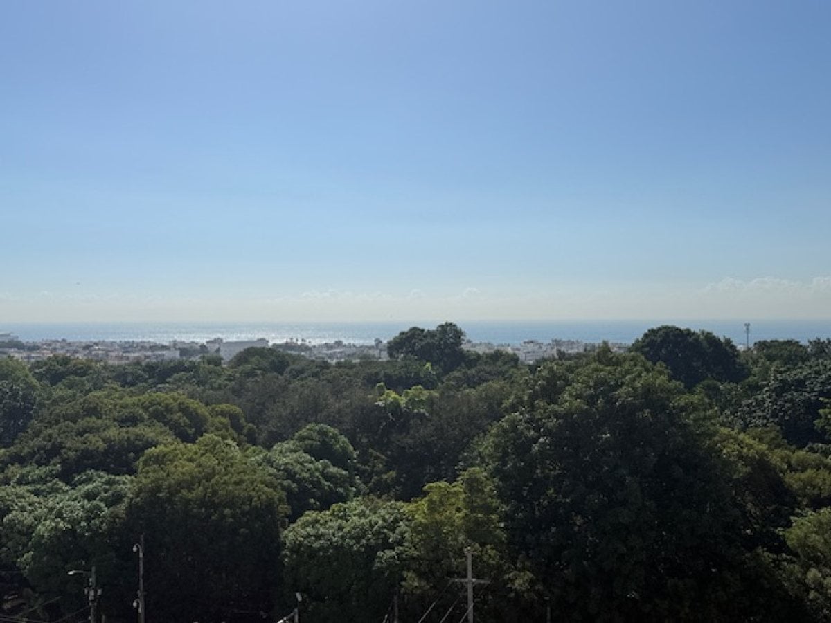 0100355736 – foto 5