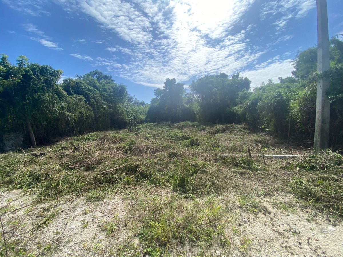 TERRENO EN VENTA EN JUAN DOLIO CABAMAR SUR – foto 3