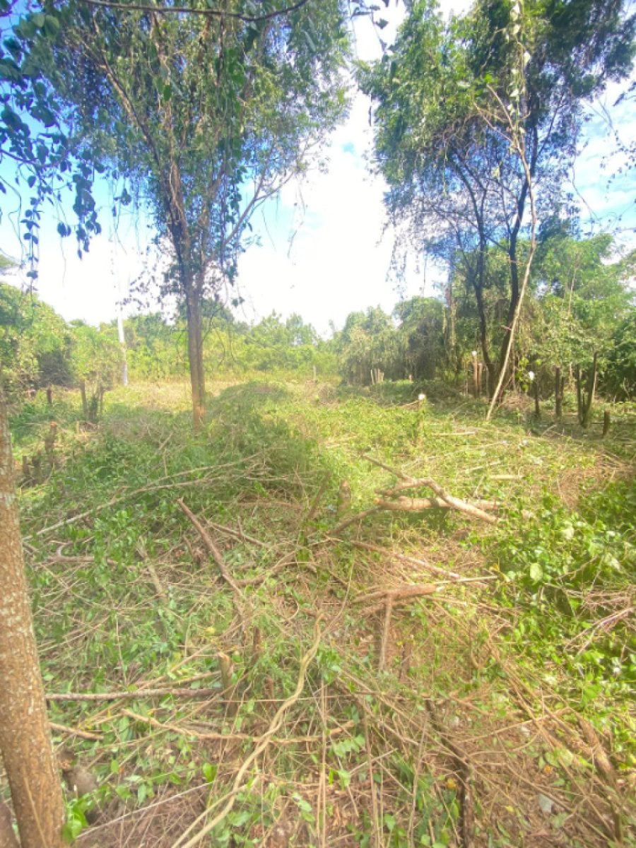 TERRENO EN VENTA EN JUAN DOLIO CABAMAR SUR – foto 1