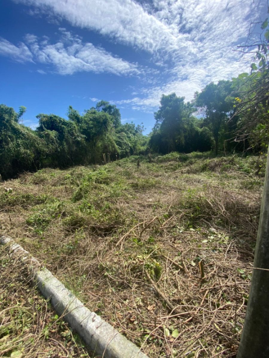 TERRENO EN VENTA EN JUAN DOLIO CABAMAR SUR – foto 2