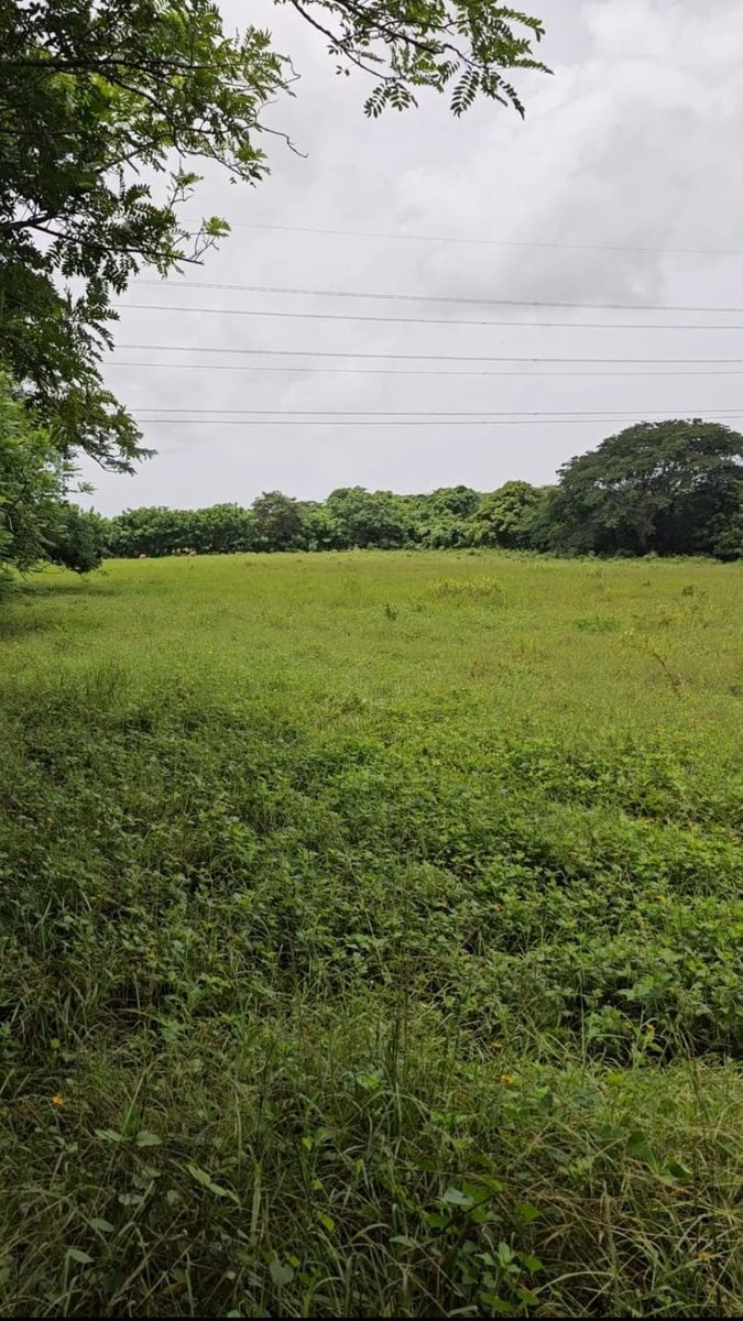 Terreno en San Antonio de Guerra, El Toro – foto 2