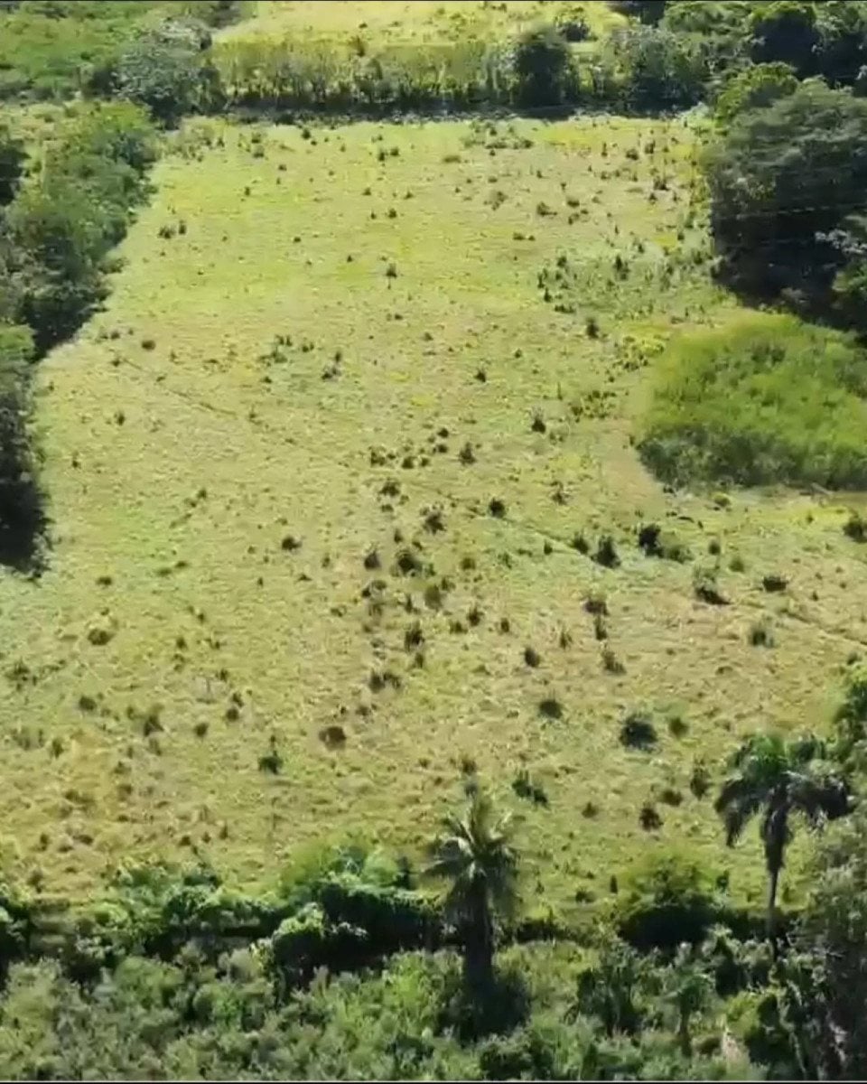 Terreno en San Antonio de Guerra, El Toro – foto 3