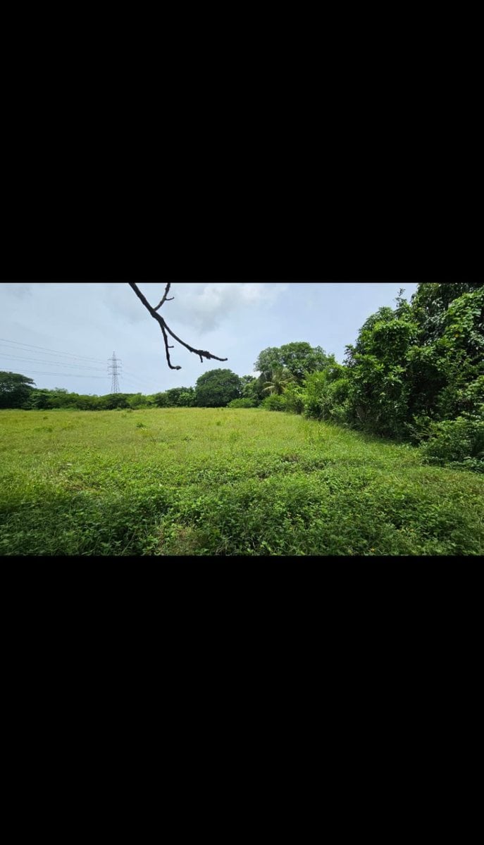 Terreno en San Antonio de Guerra, El Toro – foto 6