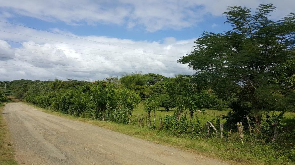 Terreno En Batey Palamara, Pedro Brand – foto 4