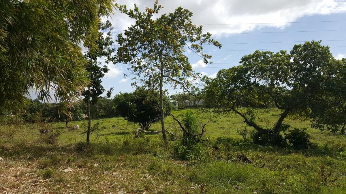 Terreno En Batey Palamara, Pedro Brand – foto 5