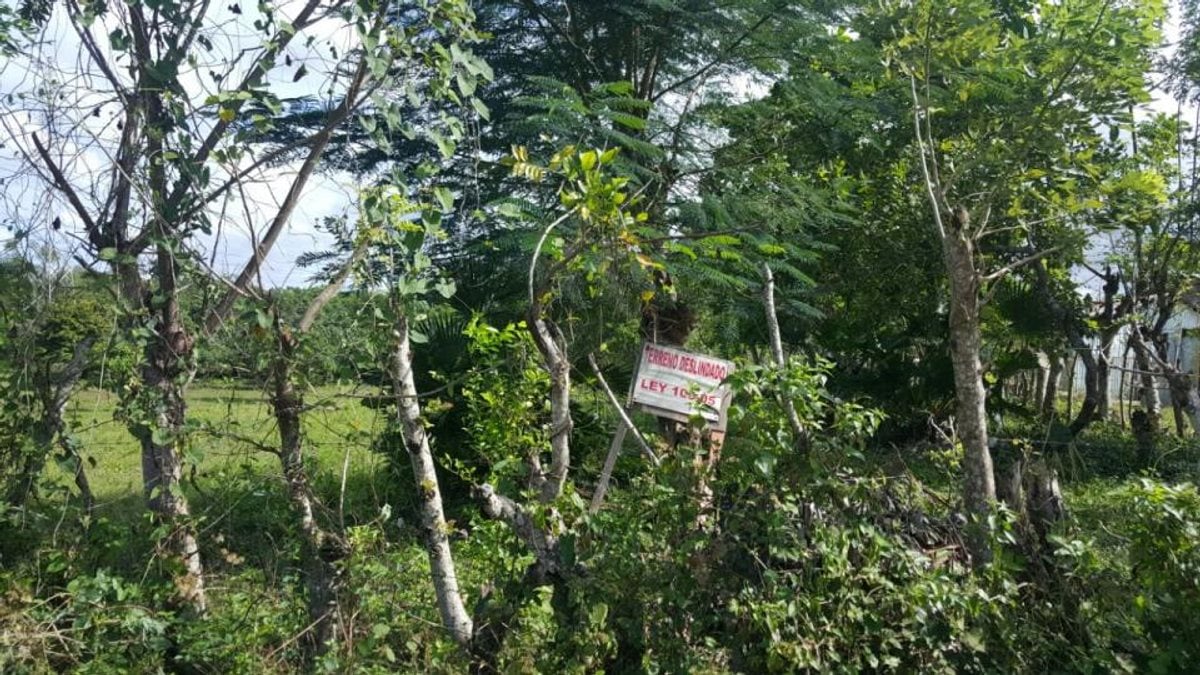Terreno En Batey Palamara, Pedro Brand – foto 3