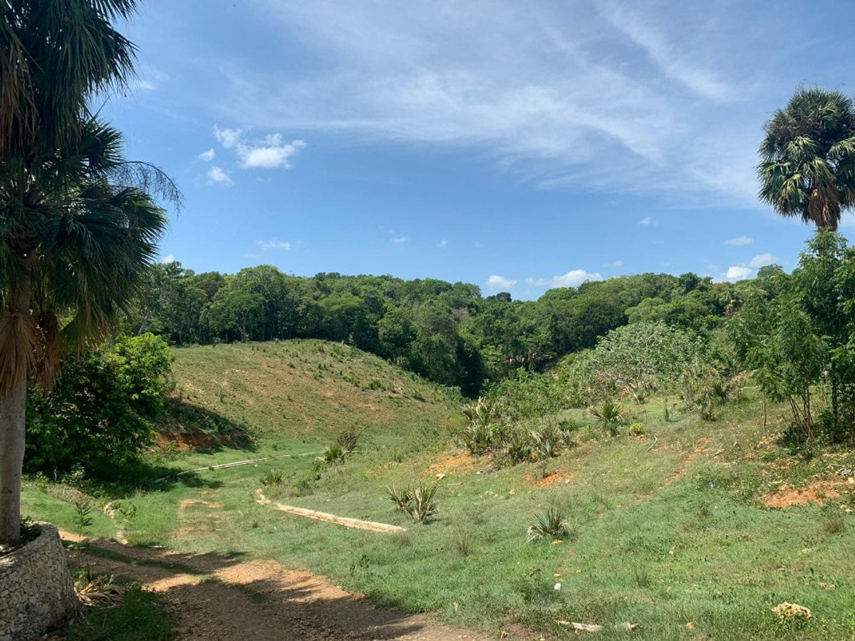 Terreno En Alto De Los Castillos, Sosúa – foto 4
