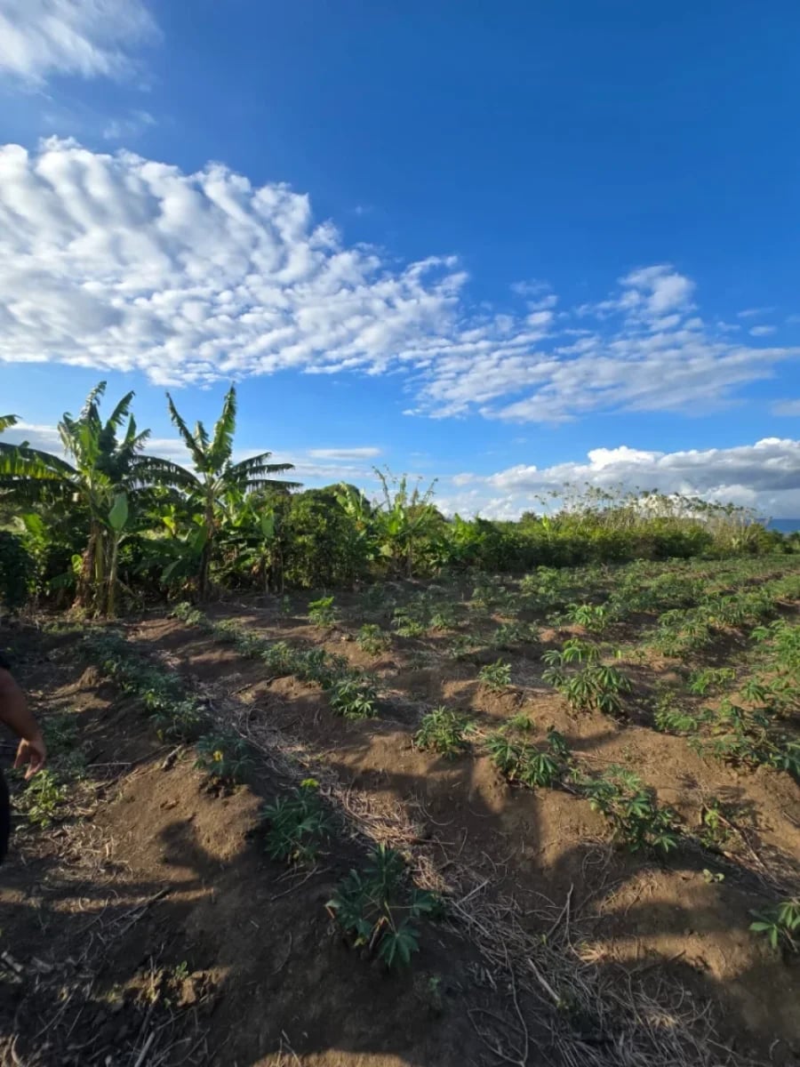 Terreno en Puñal, venta – foto 2