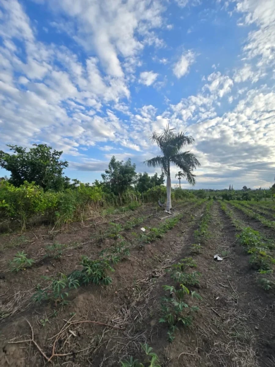 Terreno en Puñal, venta – foto 4