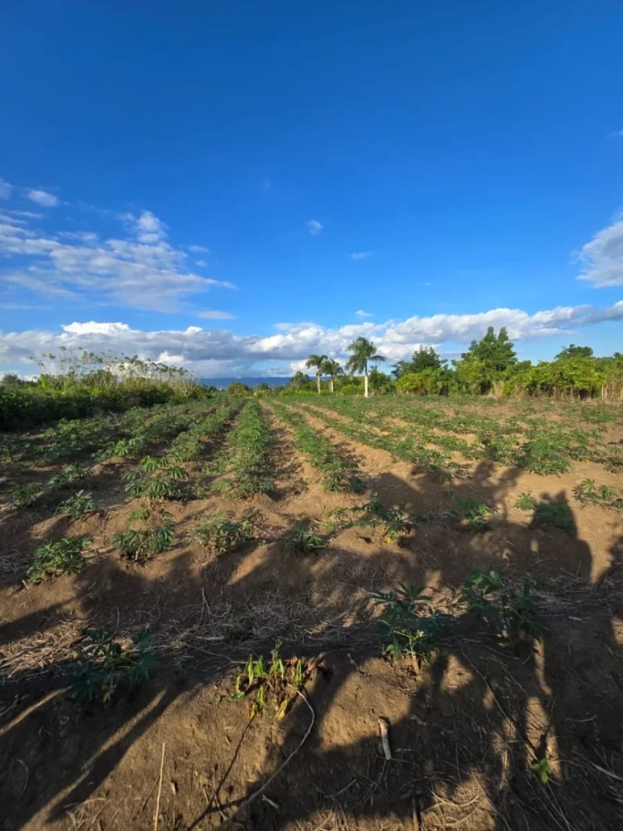 Terreno en Puñal, venta – foto 6