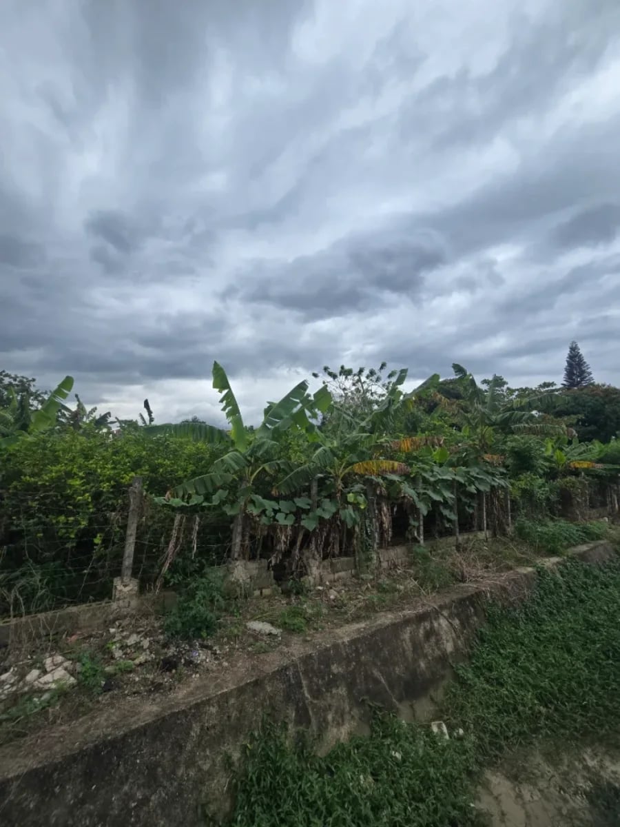 Terreno en Puñal, venta – foto 1