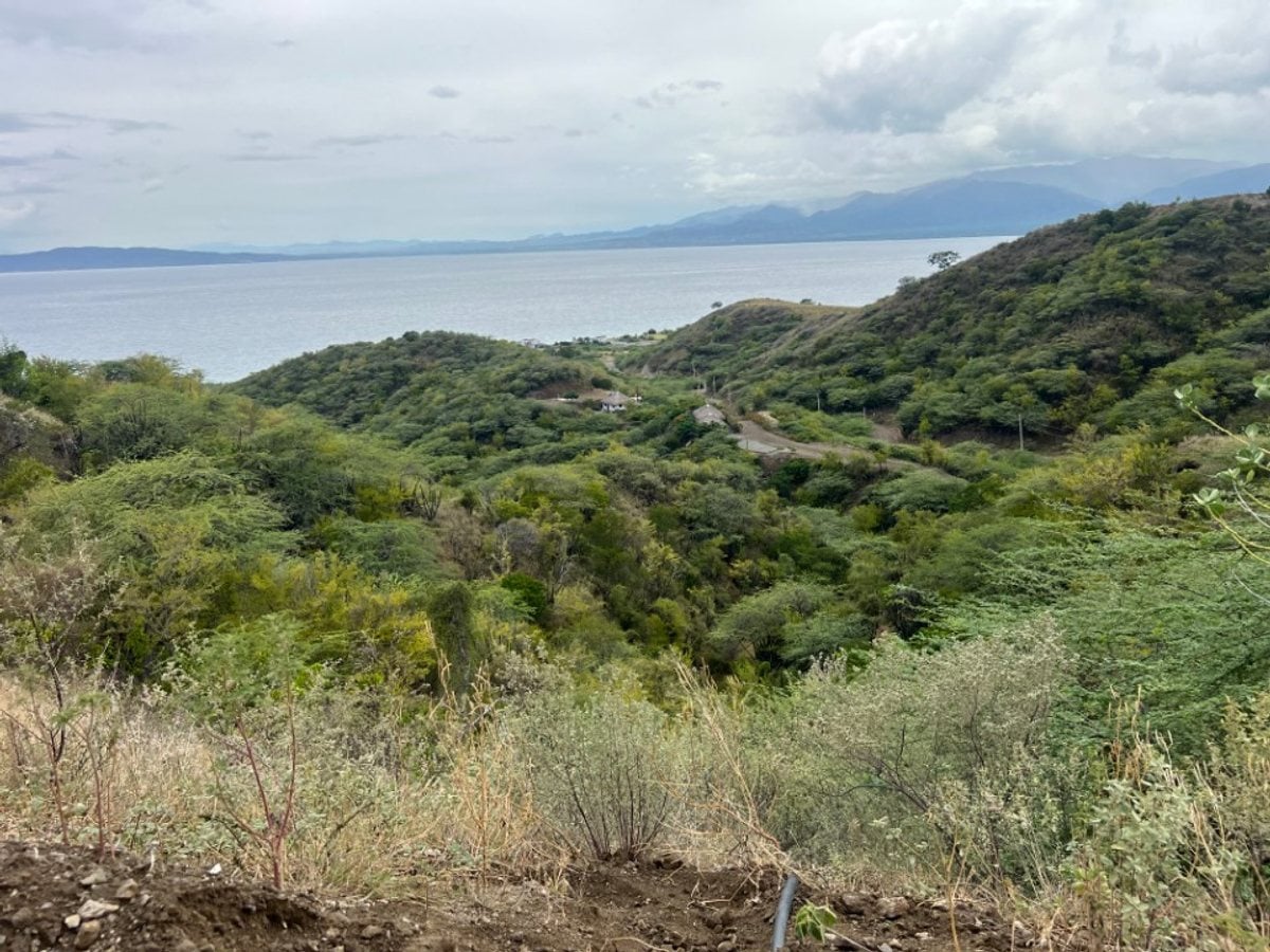 Terreno en Palmar de Ocoa, AZUA – foto 2