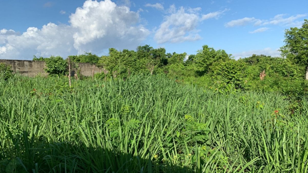 Terreno En Los Frailes Ii, Santo Domingo Este – foto 1