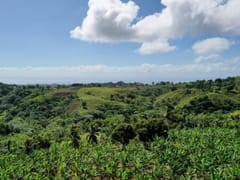Terreno en venta en Samaná, Juana Vicenta – foto 1