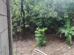 Terreno en venta en Las Acacias, Distrito Nacional – foto 7