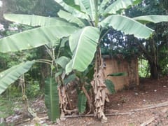 Terreno en venta en Las Acacias, Distrito Nacional – foto 6