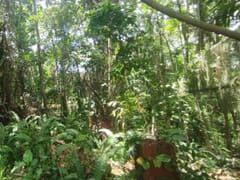 Terreno en venta en Las Acacias, Distrito Nacional – foto 9