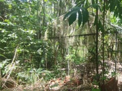 Terreno en venta en Las Acacias, Distrito Nacional – foto 10