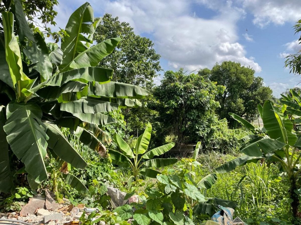 Terreno En Quita Sueño Norte, Bajos De Haina – foto 6