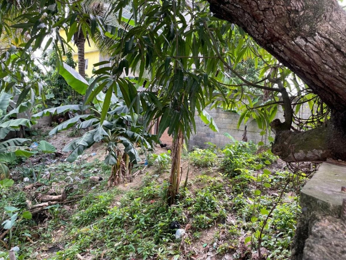 Terreno En Quita Sueño Norte, Bajos De Haina – foto 8