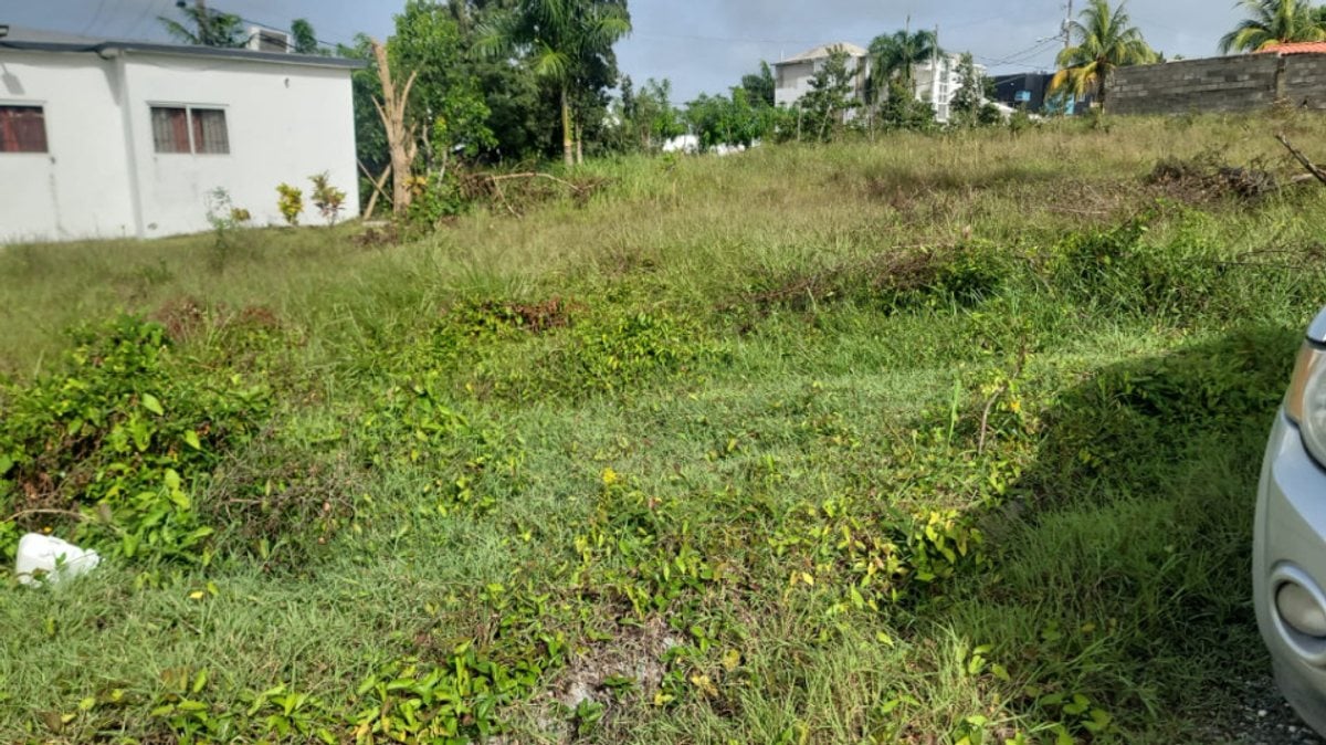 Terreno en venta – foto 2