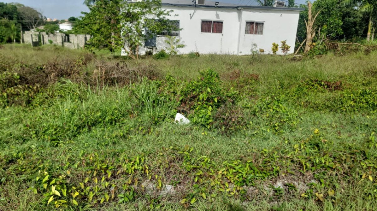 Terreno en venta – foto 3