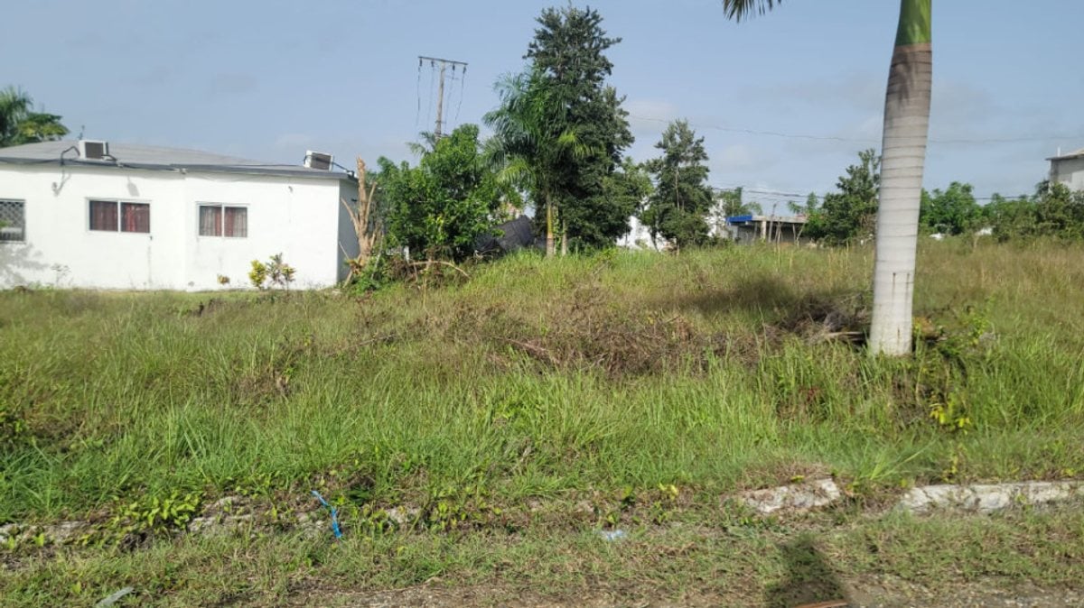 Terreno en venta – foto 4