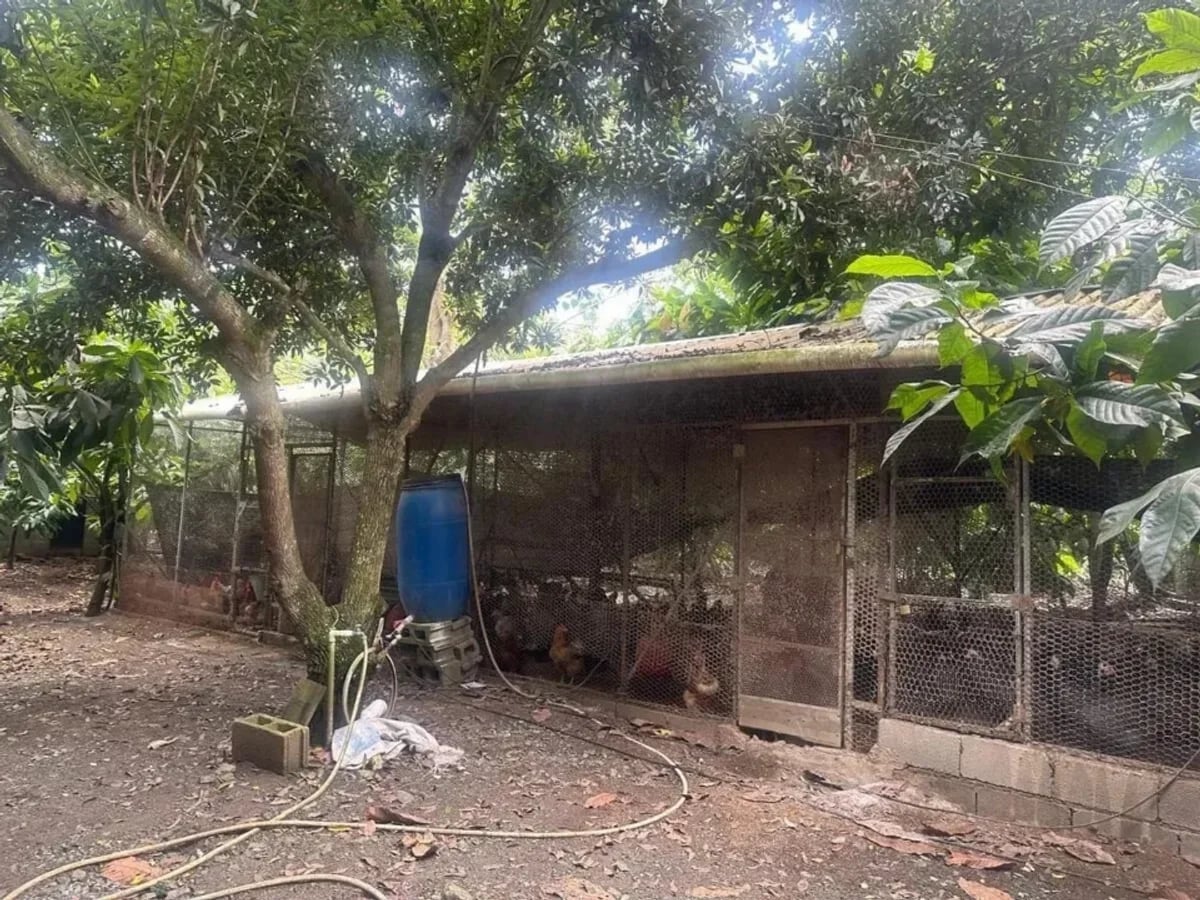 FINCA VILLA TAPIA – foto 9