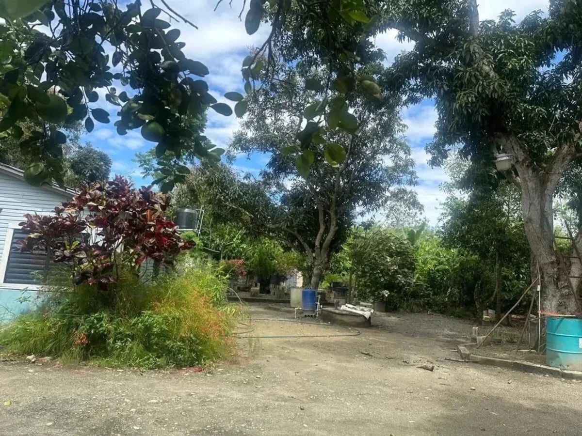 FINCA VILLA TAPIA – foto 7