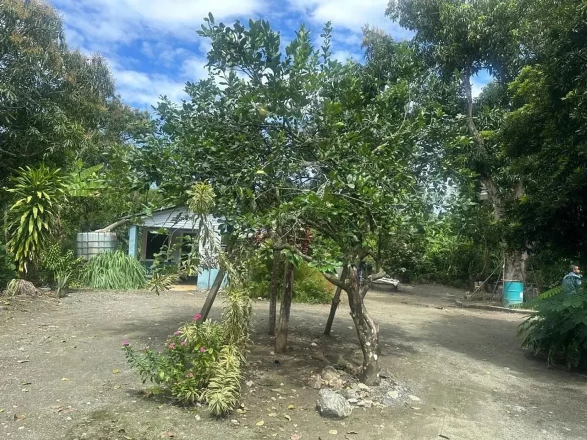 FINCA VILLA TAPIA – foto 8