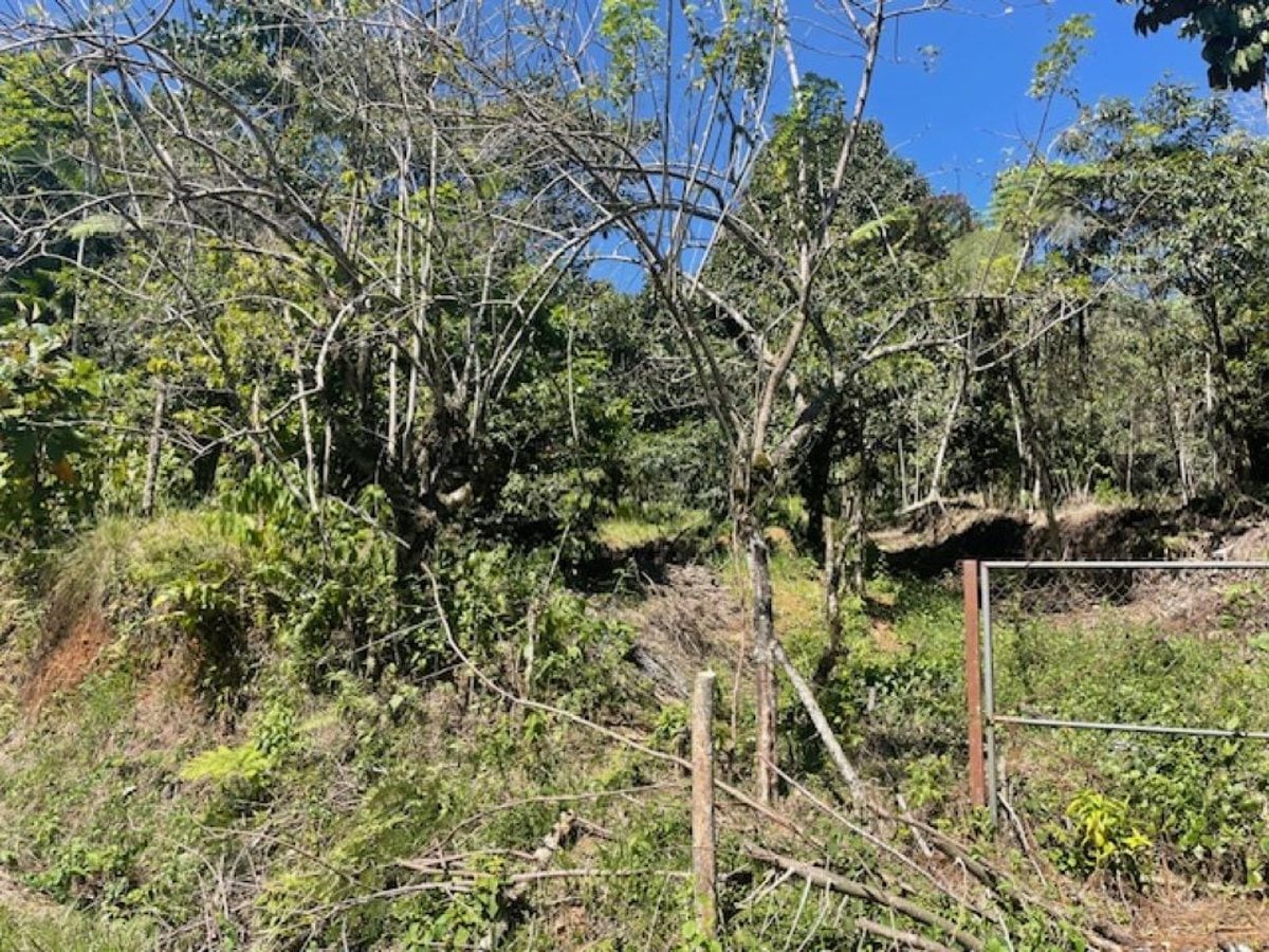 Terreno en Venta en Carretera Blanca, Bonao – foto 5