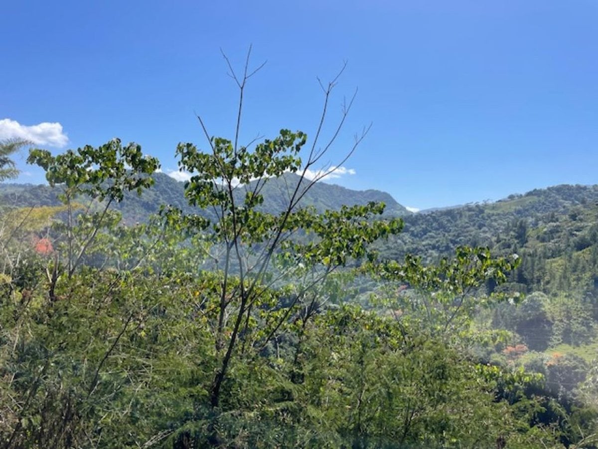 Terreno en Venta en Carretera Blanca, Bonao – foto 6