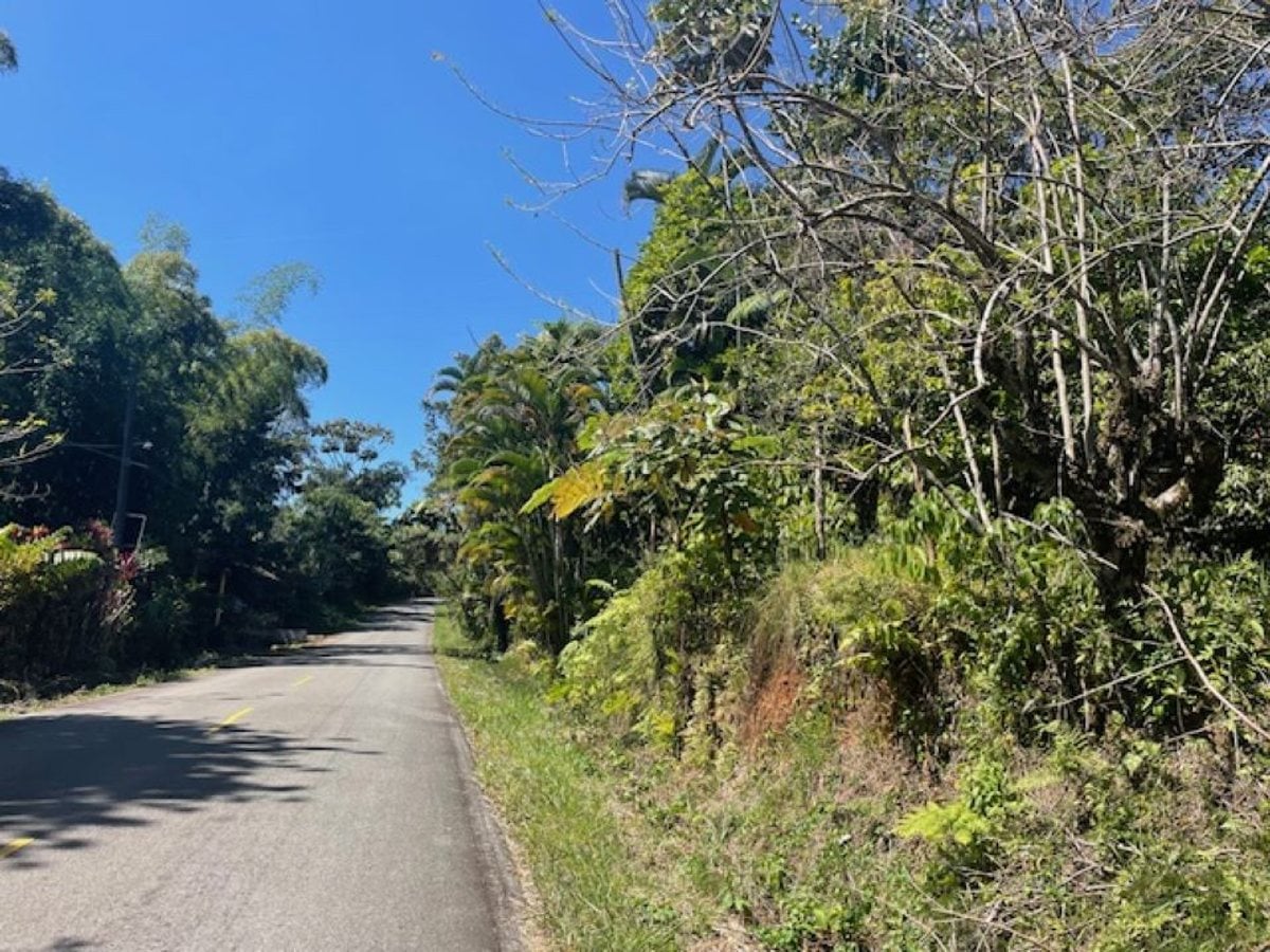 Terreno en Venta en Carretera Blanca, Bonao – foto 3
