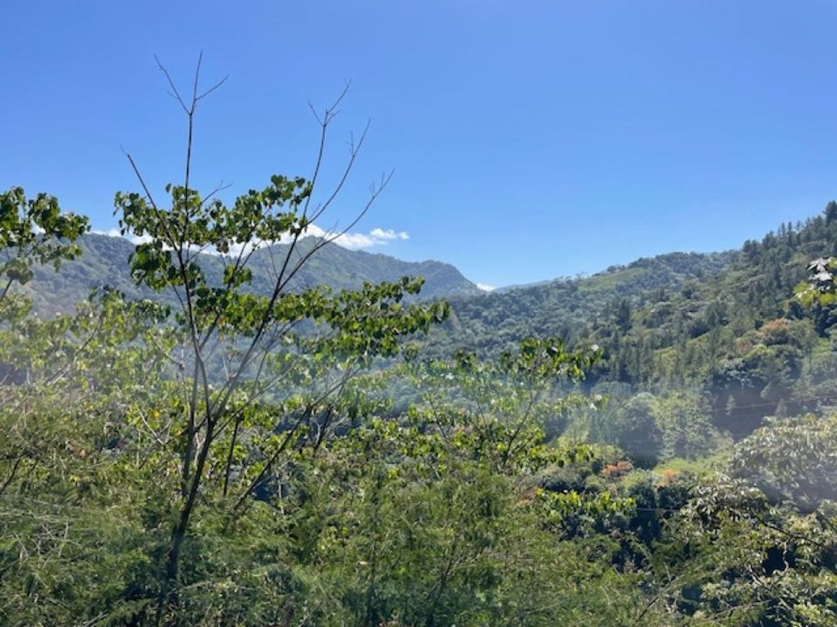 Terreno en Venta en Carretera Blanca, Bonao – foto 7