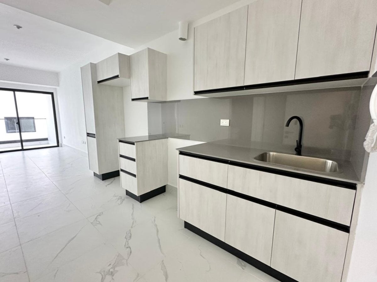 Alquilo Apartamento de 1 Hab en Evaristo Morales – foto 2