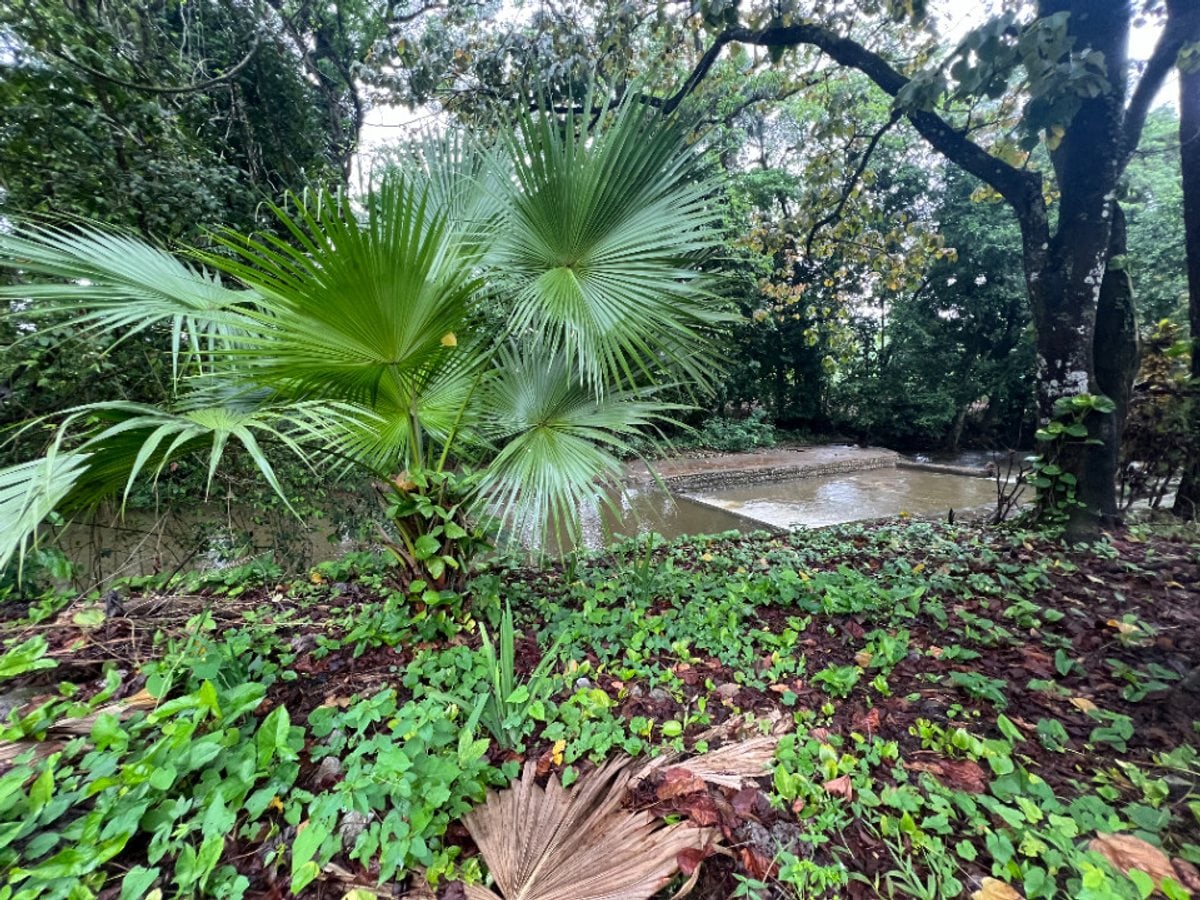Terreno de 20,824 m² en Senador, Piedra Blanca – foto 6
