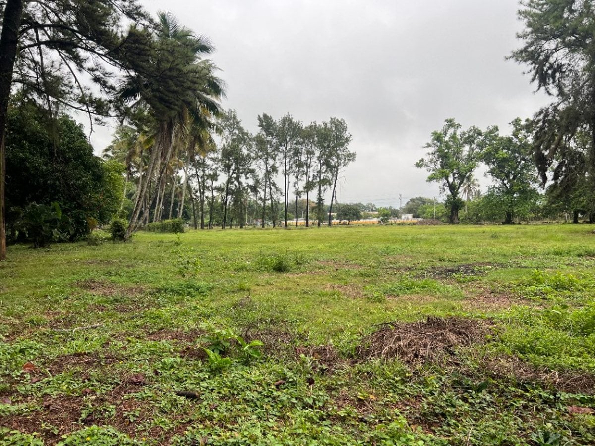 Terreno de 20,824 m² en Senador, Piedra Blanca – foto 4