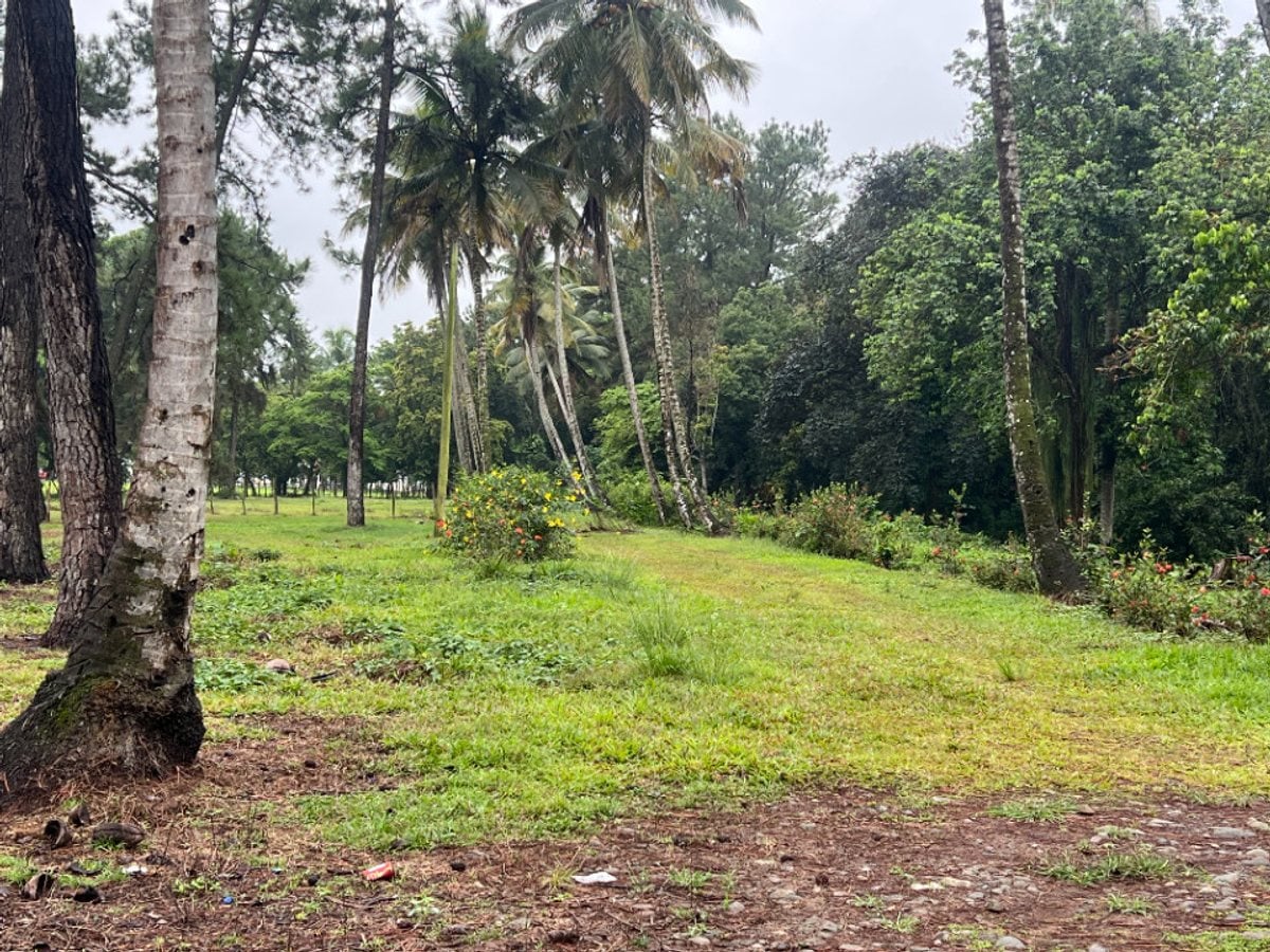 Terreno de 20,824 m² en Senador, Piedra Blanca – foto 12