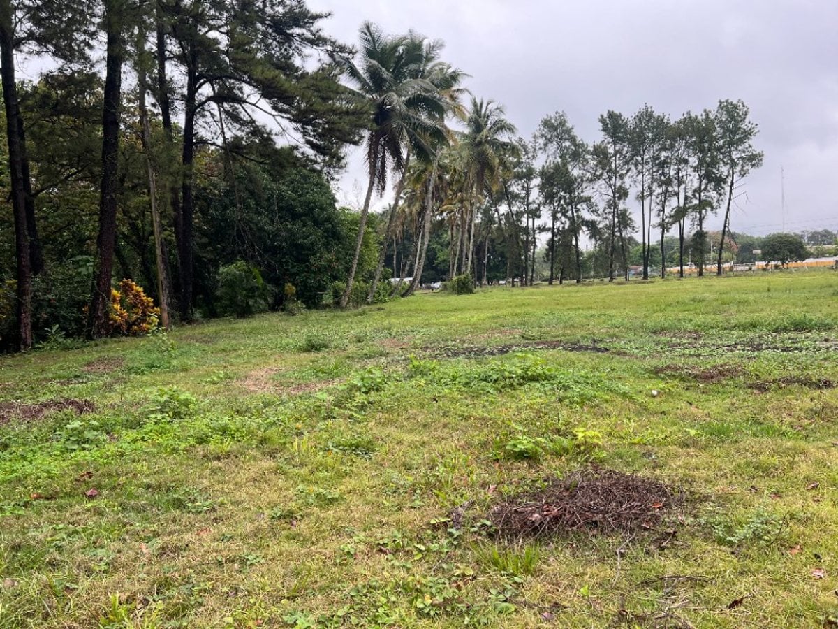 Terreno de 20,824 m² en Senador, Piedra Blanca – foto 2